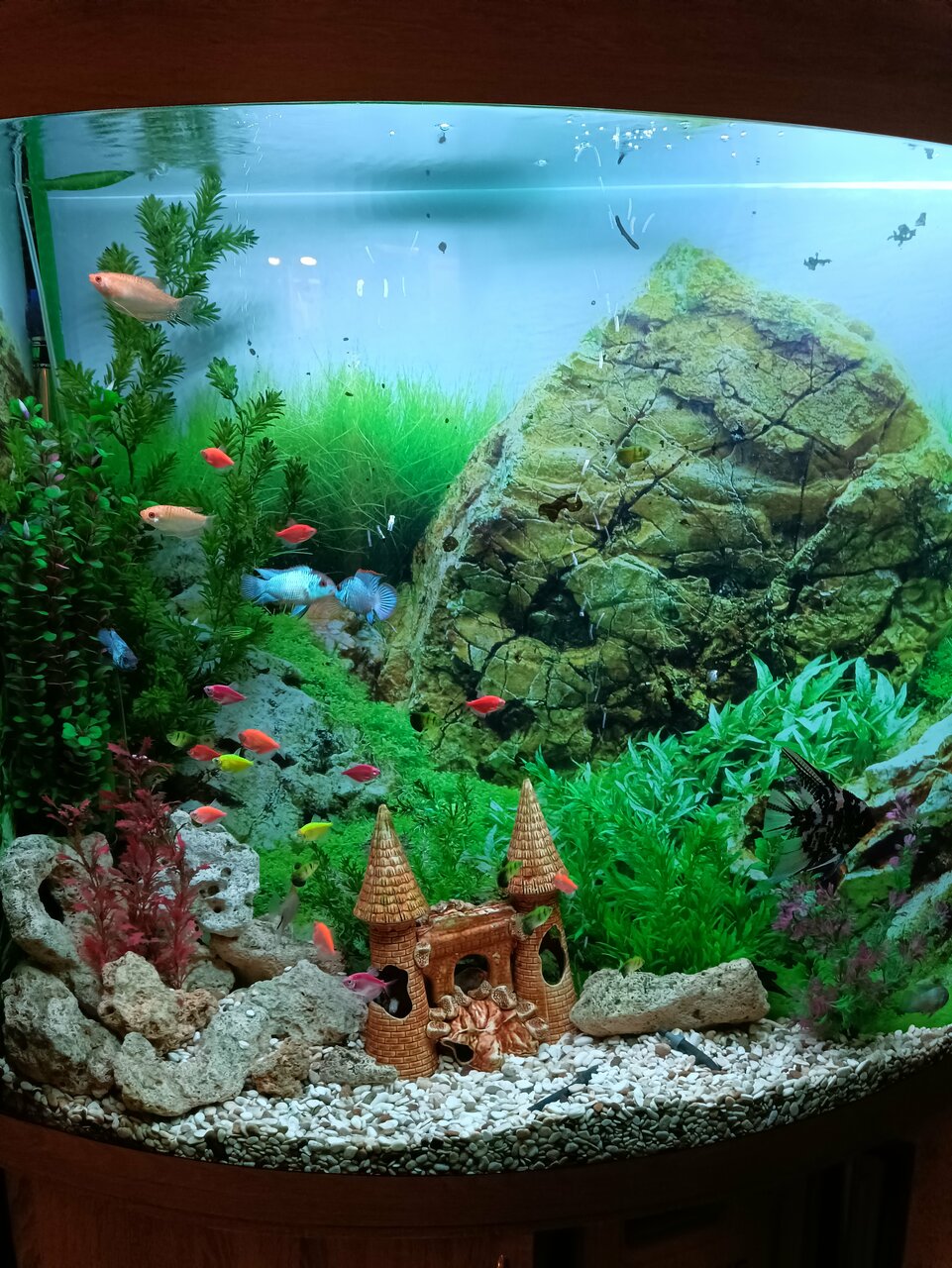 Гостиница Евразия Санкт-Петербург-164