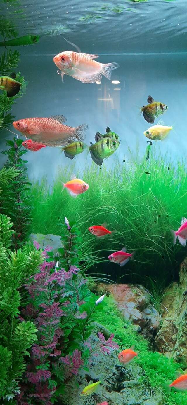 Гостиница Евразия Санкт-Петербург-161